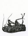 Dead Cockroach, 2014, (wood engraving on paper)
