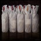 Wrapped Wine Bottles, 2010 (acrylic on canvas)