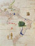South America, from an Atlas of the World in 33 Maps, Venice, 1st September 1553 (ink on vellum) (detail from 330959)