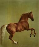 Whistlejacket, 1762