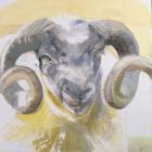 Long Horn Sheep (mixed media)