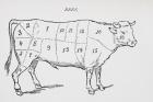 Drawing of a bullock marked to show eighteen different cuts of meat (litho)