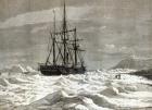 The North Pole Expedition: The Alert nipped by the ice against the shore off Cape Beechy, from 'The Illustrated London News', 1876 (engraving)