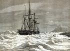 The North Pole Expedition: The Alert nipped by the ice against the shore off Cape Beechy, from 'The Illustrated London News', 1876 (engraving)