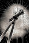 Centrifugal, from the series, The London Eye, 2012, (photograph)