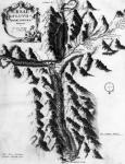 Ursae Fluvii primi fontes delineati, c.1721 (engraving)