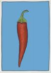 Chilli pepper blue