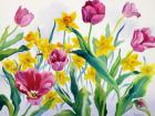 Daffodils and Tulips (watercolour on paper)