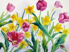 Daffodils and Tulips (watercolour on paper)