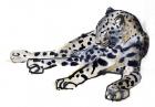 Recumbent (Arabian Leopard), 2008 (w/c on paper)