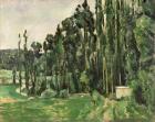 The Poplars, c.1879-82 (oil on canvas)