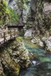 Visitors walking on wooden walkways which run the length of the Vintgar Gorge near Bled, Triglav, National Park, Upper Carniola, Slovenia (photo)