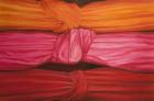 Silk Knots, 2010 (acrylic on canvas)