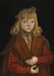 A Prince of Saxony, c.1517 (oil on panel)