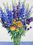 Larkspur and Delphiniums (watercolour on paper)