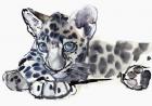Spotty (Arabian Leopard Cub), 2008 (w/c on paper)