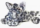 Spotty (Arabian Leopard Cub), 2008 (w/c on paper)