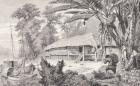 House of a wealthy India-rubber collector, from 'The Amazon and Madeira Rivers', by Franz Keller, 1874 (engraving)