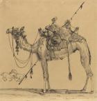 The Camel (pen & ink)