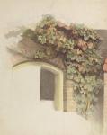 Grapevines on a Brick House, 1832 (pencil and w/c on paper)