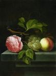 A Still Life with a Rose, Grapes and Peach, 17th century