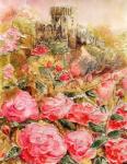 Roses in Windsor gardens