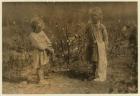 Millie, aged 4 picks 8 pounds of cotton a day and Nellie 5, picks 30 on a farm near Houston, Texas, 1913 (b/w photo)