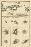 The Virgin Islands, from 'Atlas de Toutes les Parties Connues du Globe Terrestre' by Guillaume Raynal (1713-96), published J L Pellet, Geneva, 1780 (coloured engraving)