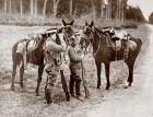 English Light Cavalrymen on the lookout for the enemy near Reims during the First World War. From La Esfera, 1914.