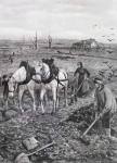 Farmers working Ruined Fields, 1918 (halftone newsprint)