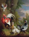 Exotic Birds in a Landscape (oil on canvas)