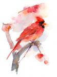 Red cardinal, 2016, (watercolor)