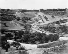 Garden of Gethsemane, 1857 (b/w photo)