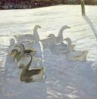 Geese Against the Light (oil on canvas)
