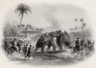 An Elephant Fight (line engraving)