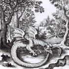 A Dragon in the Forest, from 'Musaeum Hermeticum Reformatum' by Basil Valentine, 1678 (engraving) (b/w photo)