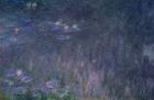 Waterlilies: Reflections of Trees, detail from the left hand side, 1915-26 (oil on canvas)