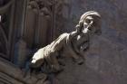 Barcelona, Spain. Gargoyle on building in Gothic Quarter.