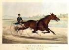 The King of the Turf, 'St. Julien', driven by Orrin A. Hickok, 1880 (litho)