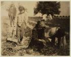Pete Trombetta, aged 10, picking berries for a 6th season with his sister Mary, 11, who picks 100 quarts a day, and brother Salvatore Trombetta, aged 14, who picks 200 quarts at Johnson's Farm, Seaford, Delaware, 1910 (b/w photo)