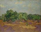 Olive Trees, 1889 (oil on canvas)
