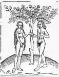 Adam and Eve, illustration from the 'Speculum Vitae Christi', 1491 (woodcut)