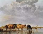 Cows in a River, c.1650 (oil on panel)