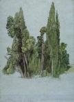 The Cypresses at the Villa d'Este, Tivoli (w/c & gouache with graphite on paper)