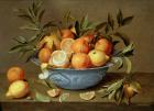 Still Life with Oranges and Lemons in a Wan-Li Porcelain Dish (oil on panel)
