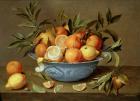 Still Life with Oranges and Lemons in a Wan-Li Porcelain Dish (oil on panel)