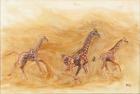Giraffe running, 2013 (oil on canvas)
