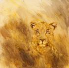 Leopard head, 2014 (oil on canvas)