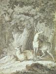 Two Stags (crayon on paper)