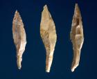 Three arrow heads (flint)